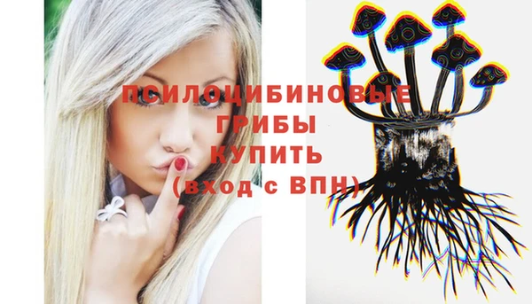 сатива Алзамай