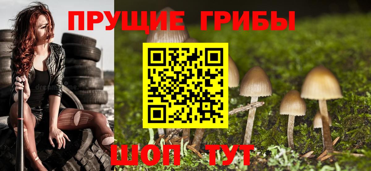 Псилоцибиновые грибы GOLDEN TEACHER Когалым