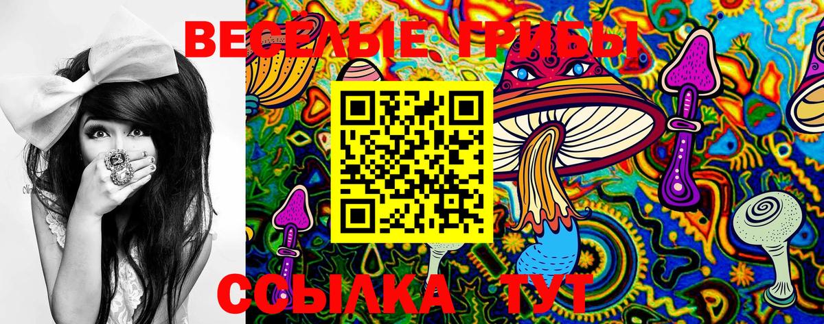 Когалым  Галлюциногенные грибы GOLDEN TEACHER  Вход с VPN 
